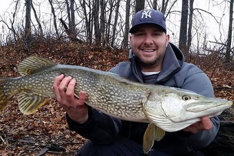 Freshwater Fall Runs