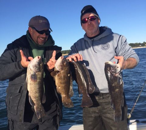 Fishin Factory 3 reports that most local angling attention has been focused on tautog.