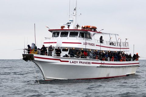 Steakers And Sea Bass