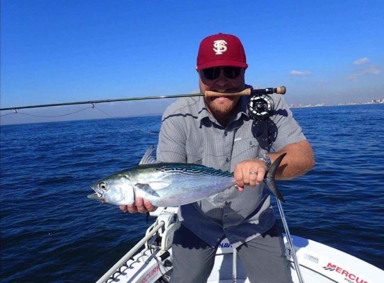 Pat Fallon caught this Jamaica Bay albie on the fly rod this week