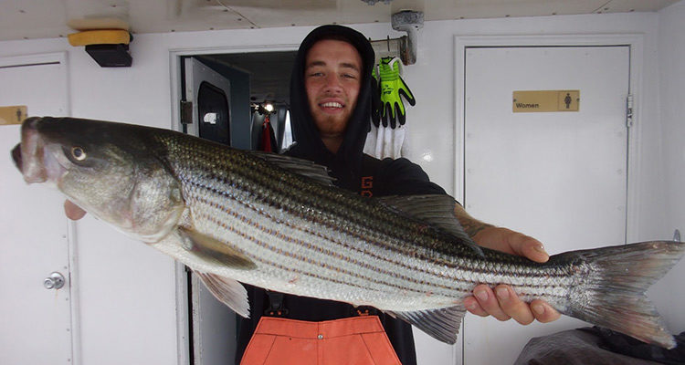 A nice striped bass caught earlier this week on the Sea Hunter out of Atlantic Highlands.