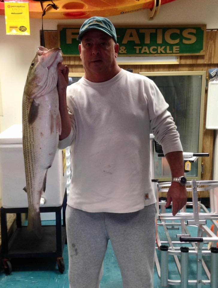 Andy Blair caught this 17-pound striper in the Ocean City surf and checked it in at Fin-Atic's Marine Supple.