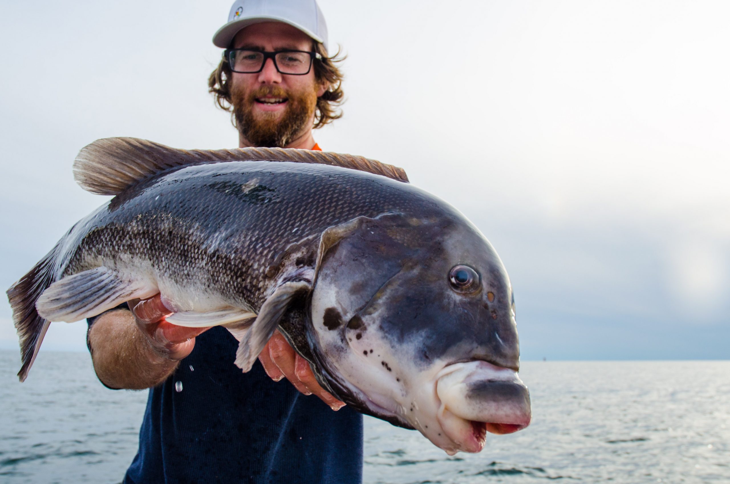 (Blackfish) Tautog SLIDER Fishing Double Hook Mooching Rig
