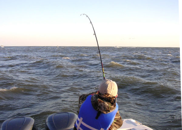 Medium spinning gear is perfect for fishing jigs in the rips.