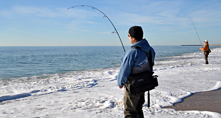 South County Rhode Island Herring Blitzes