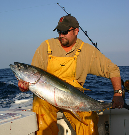 The Offshore Angler