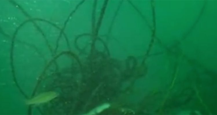 Tangles of ropes and commerical gear can snag fishing lines and anchors.