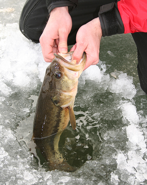 The Ice Fisherman