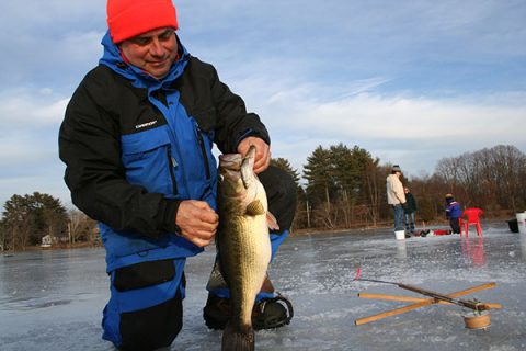 Big Bass From Trout Water