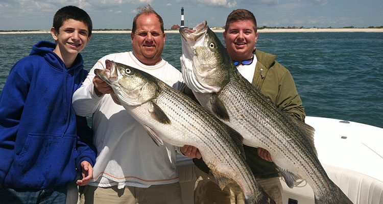 Big stripers will move into Great South Bay after schools of adult bunker. photo: Captain Paul Mandella/Maybe Tonight Charters