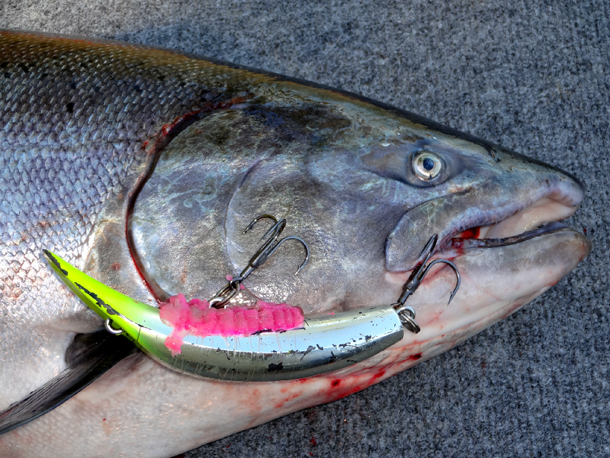 Helin Flat Fish Lure - Hard Baits -  - Tackle