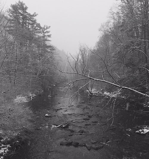 Dressed for the holidays! (Fishing Creek, Clinton County, PA)