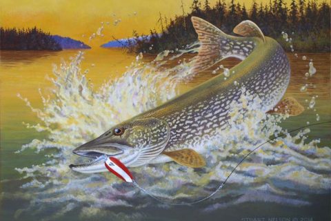 A Daredevil Pike hammering a Dardevle