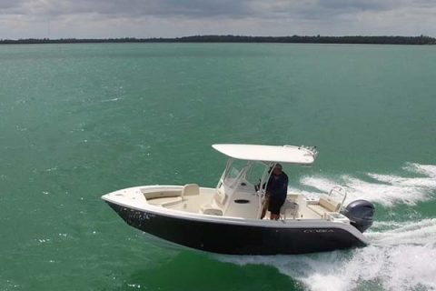 Cobia Boats Joins The Striper Cup!