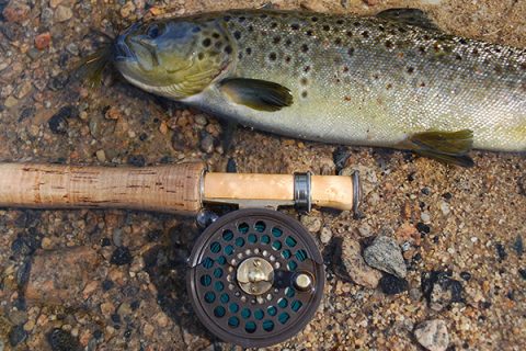 Featherweight Fly-Fishing