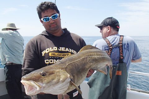 Winter Wrecking Crew