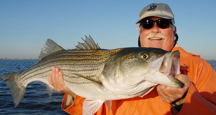 Jamaica Bay - The Artificial Estuary