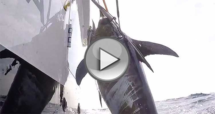 On The Water’s Angling Adventures premier