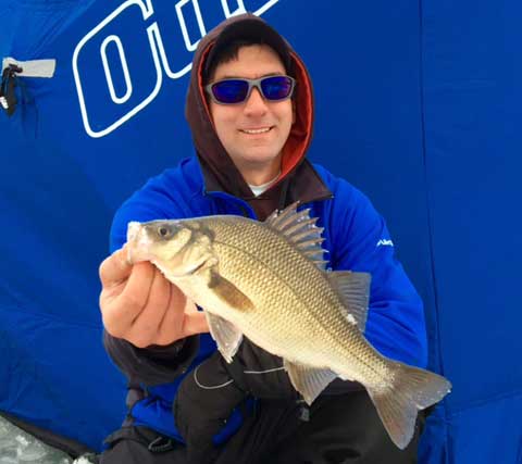 Schools of crappie and roaming white perch bunching up at night