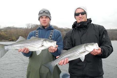 Housatonic Holdovers