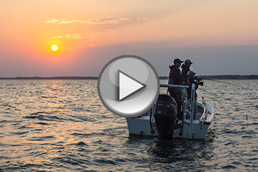 Sight Casting For Bass And Blues