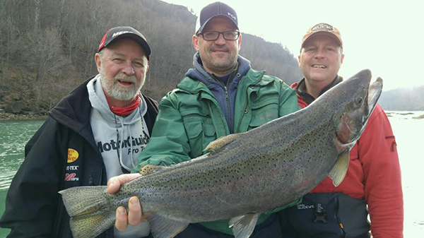 12-pound steelhead