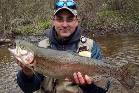 Giant breeders are among the Rainbow Trout stocked each spring.