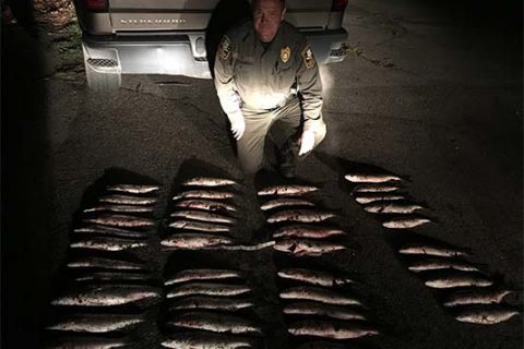 Connecticut State Environmental Conservation Police