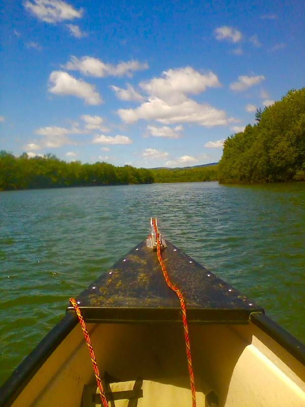 West Branch Susquehanna River