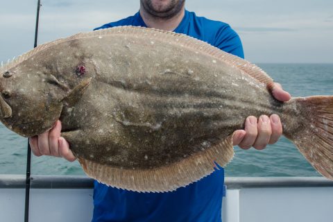New Jersey Announces Fluke Regulations – Season Opens Tomorrow!