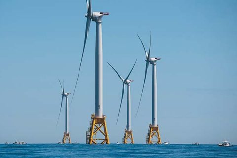 Fishing Among Giants