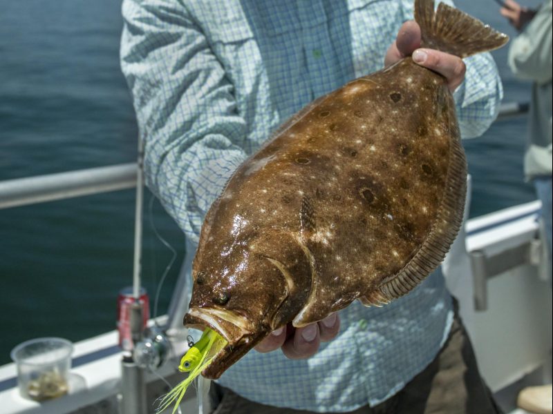 Massachusetts Announces Regulations for Black Sea Bass, Scup, and