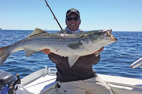 When adult menhaden are the primary forage, bunker spoons will out-produce most other trolling lures.