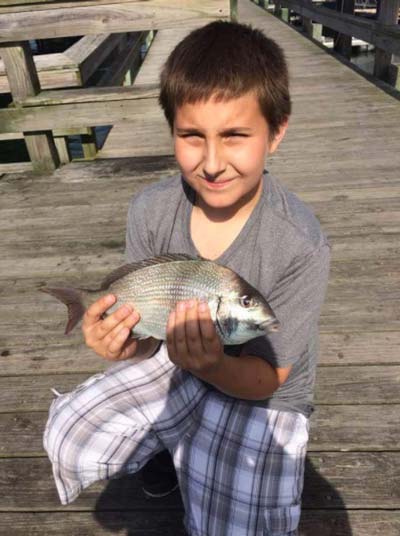 Eric Schenk with a nice Newport scup