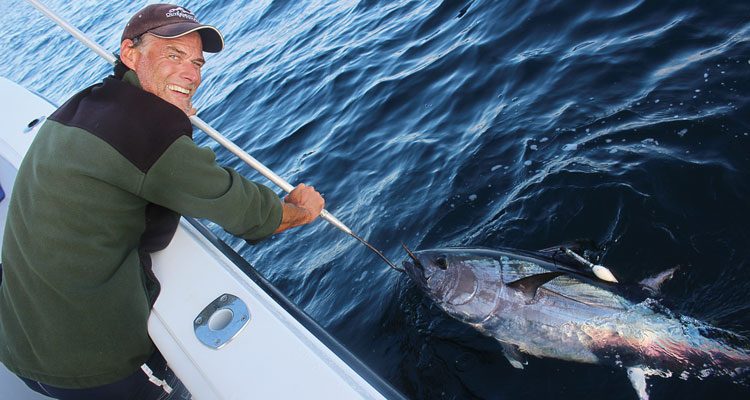 Satellite-tagging provides key insights into light-tackle bluefin tuna post-release survival.