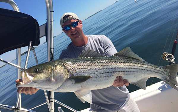 Jordan Silver got this 44-inch bass on live maceral right at Sunken Ledge in Quincy Bay Tuesday morning.