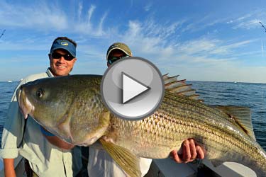 Block Island Stripers