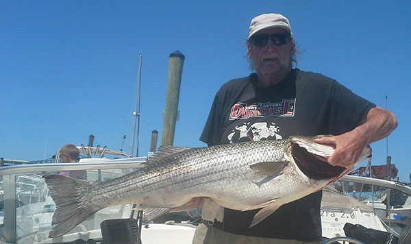Carl Vinning with a North Shore 40 pounder which it turned out was fond of lobsters!