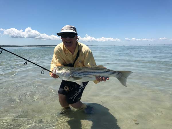 John Walsh from Connecticut caught and released this healthy July striper.