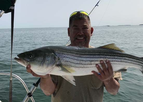 Billy Hunter from Revere caught and released this 35-inch striper at Deer Island on a live mac.