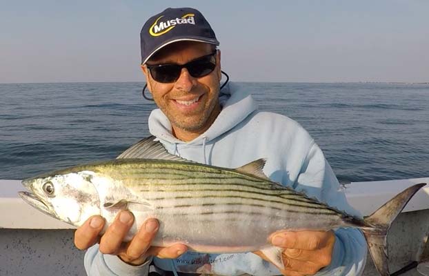 Bonito are blitzing on peanuts on the South Coast!