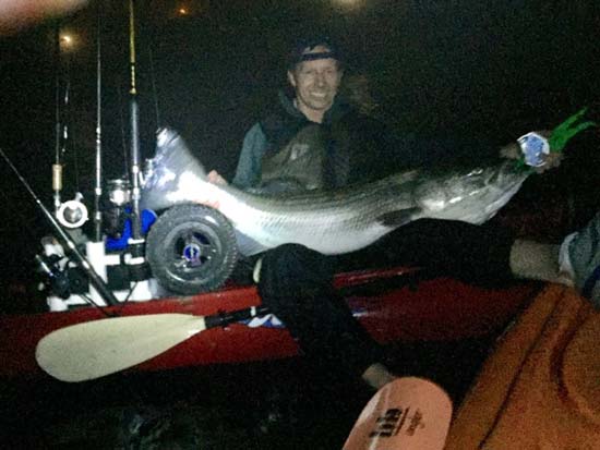 Steve Langton with his tournament winning 49-inch striper