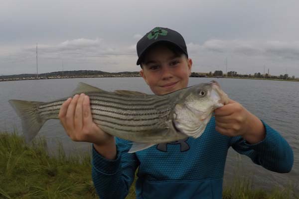 Aiden Rock of Stoneham with a Greater Boston schoolie which hit a topwater plug. I obviously have the photos flipped!