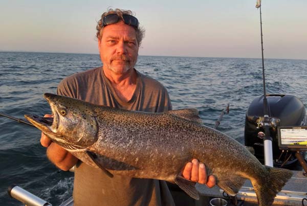 Big Niagara Bar King