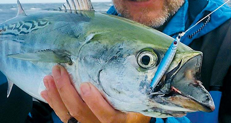 Featured Lure: Daddy Mac Albie/Bonito Jig - On The Water