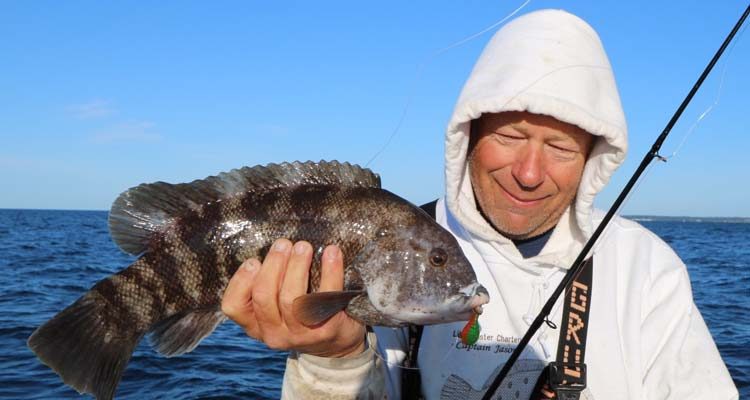 It's South Coast tog time aboard Captain Colby's Little Sister!