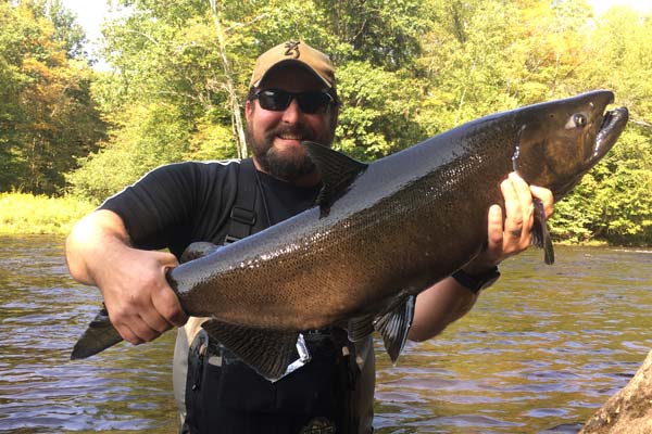 Upstate Guide Service guest Mike U. landed this hungry king salmon on a fly this week 