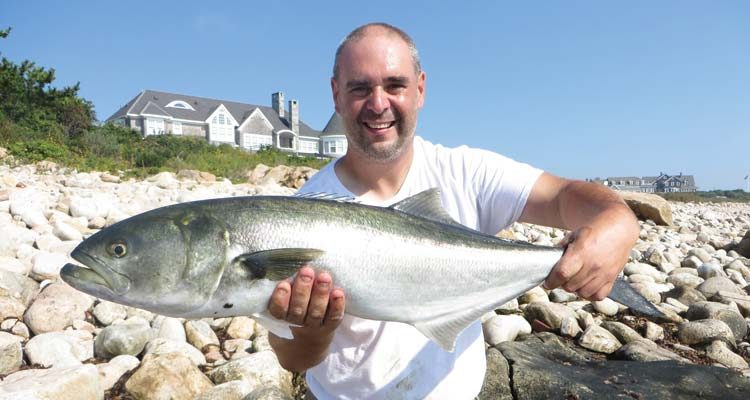 Nick Pacelli holds a big bluefish.