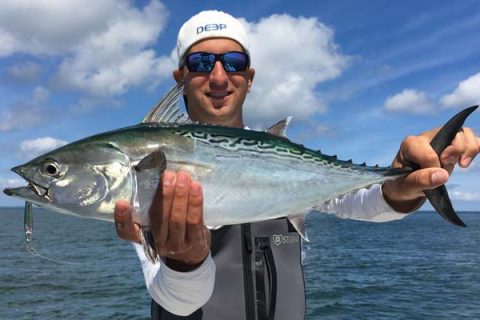 Albie tips from the pros