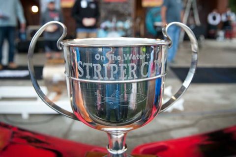 The Striper Cup